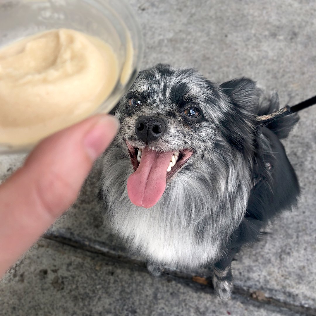 jeremiahsice's tweet photo. Make your National Peanut Butter Lovers Day a PAWS-itive one by treating your furry pals to #JeremiahsIcePupCups! Or treat yourself and celebrate with our delicious P-Nutty #Gelatis that are sure to satisfy all #PeanutButterLovers. ๐ฅ๐๐ #JeremiahsIce #LiveLifeToTheCoolest https://t.co/9raJVeNBLF