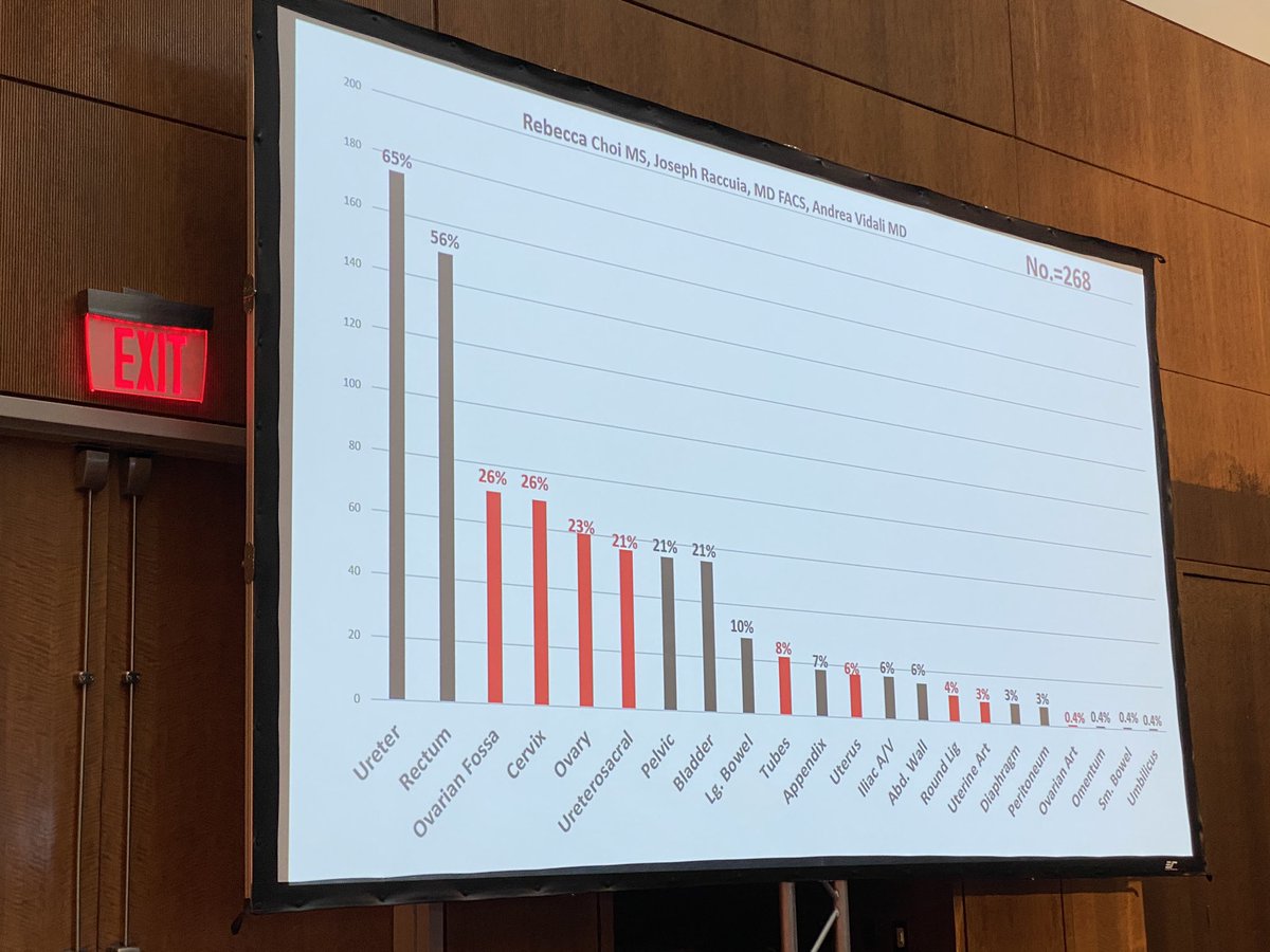EndoMarchDallas's tweet photo. Dr. Raccuia and Rebecca Choi sharing the data they’ve been collecting with the goal of mapping #endometriosis. Tell us again how it’s just a bad period??? #endosummit2020 #changethenarrative https://t.co/NOxNFPPROT
