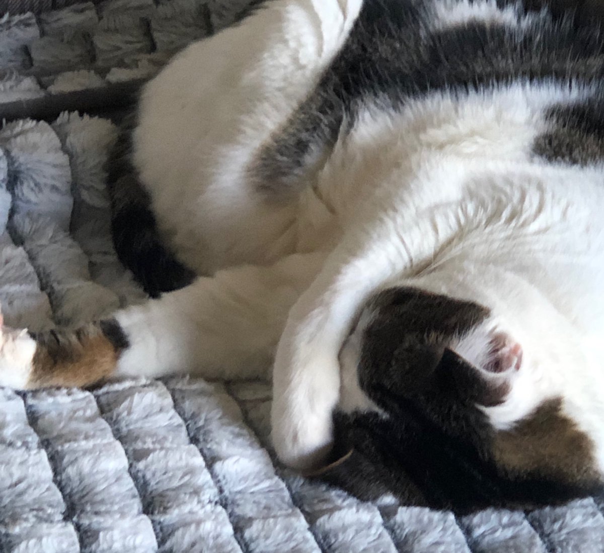 Day 5 of my life in 7 pictures
Rules: no words, no people 
Challenge someone new everyday
I was challenged by <a href="/denise_hone/">Denise Hone</a>  Today I challenge <a href="/mollymoo1972/">TixJordan.BSL.III 🎟️🧠👻</a>