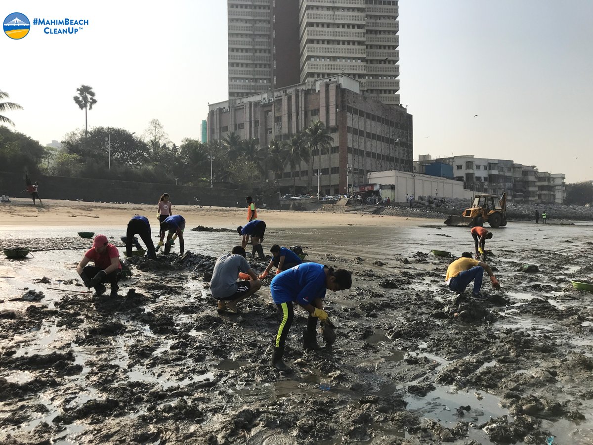 mahimbeach's tweet photo. Week 130: Pulled out 1000+ milk packets from sea. They could be recycled but instead they clog our drains, pollute our seas. We must recycle. 85 lakh ltrs of milk sold daily in such packets in Maharashtra alone.Milk suppliers need to implement a recollecting & recycling mechanism https://t.co/mcFdjk69Cw