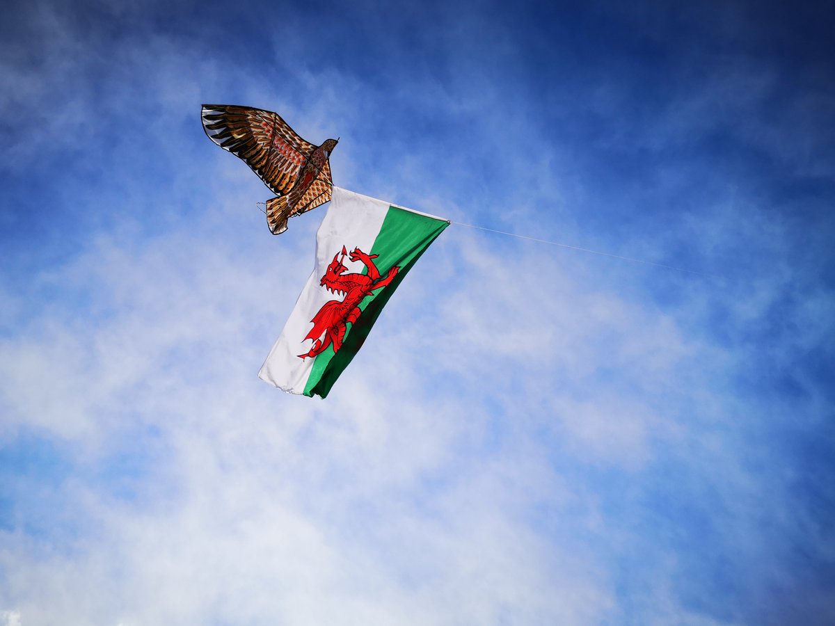 BeijingWelsh's tweet photo. Flying the Welsh flag: a must for St David's day!

Paddy took his kit and Welsh flag to Chaoyang park, Beijing this afternoon to show the Chinese passers by the Draig Coch! Rooooar! 🐲

Beijing put on its best weather for the show ☀️

#stdavids #walesweek #draigcoch #beijing https://t.co/tNTH1u8hbI