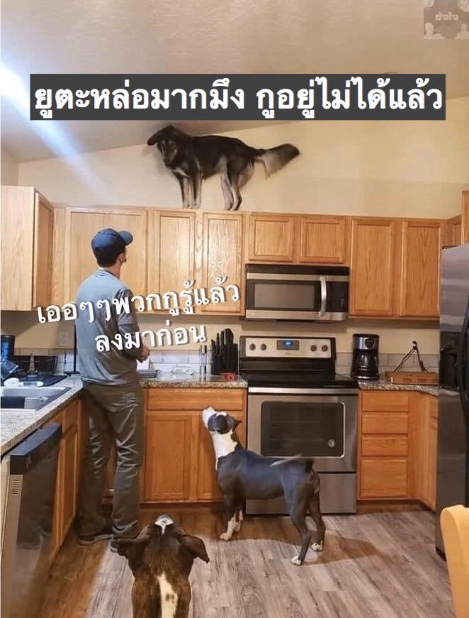 𝚎̄𝚗 tweet media