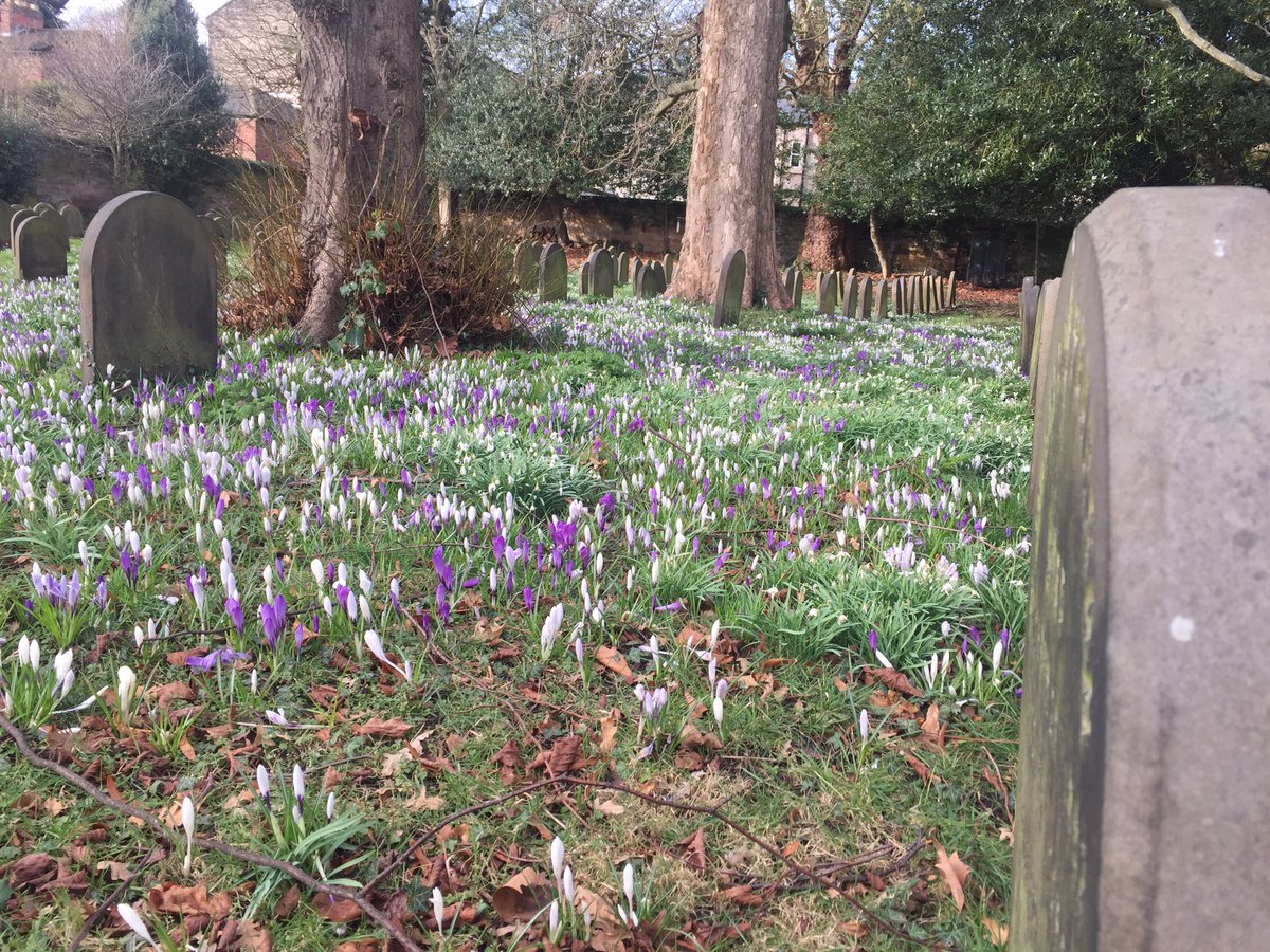 Spring has arrived <a href="/DarloQuakerMeet/">Darlington Quakers</a> #Quakers #spring