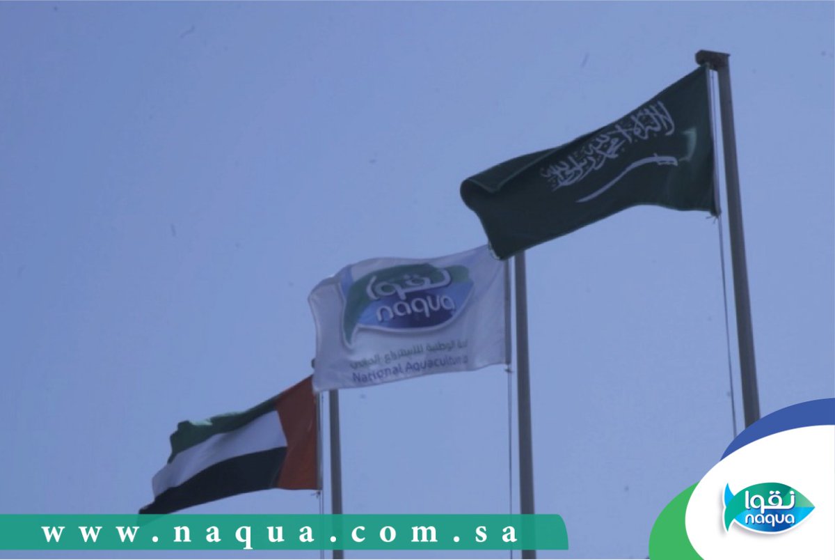 NaquaSeafood's tweet photo. تشرفت #نقوا بزيارة الوفد السعودي الاماراتي باستقبال من قبل سعادة العضو المنتدب المهندس أحمد البلاع، وذلك للاطلاع على تجربة الشركة واستعراض الرؤية المستقبلية. مشيدين بالانجازات والمستوى التقني بها.

#الليث https://t.co/51mhno34OR