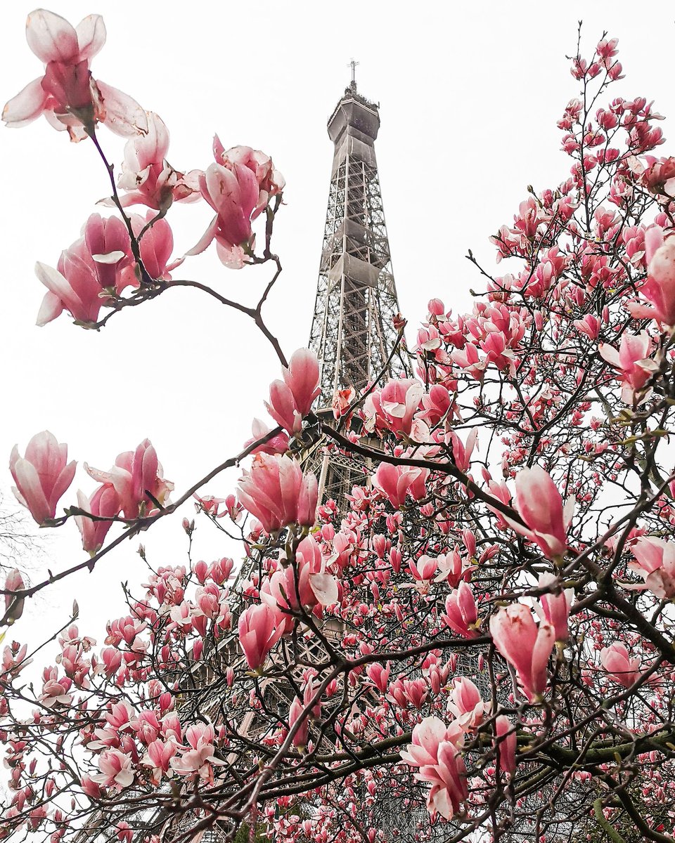 yesmyfriend_'s tweet photo. From Paris With Huawei With Love 💗
https://t.co/xNJlgqkHwd
#paris #france #huawei #capturedonhuawei #huaweishot #yesmyfriend https://t.co/DxE1sCc6EH