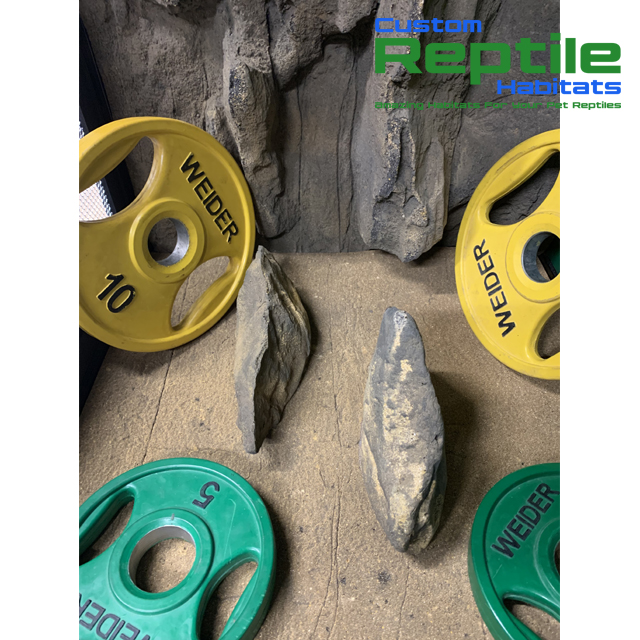 Lifting some weights!

Check out our décor kits here: customreptilehabitats.com/collections/re…

#reptiles #reptilehabitat #customreptilehabitats #reptileenclosures #reptilecages #terrarium #vivarium #snakes #lizards #reptilecage #reptilesthrive #reptilebackgrounds #3dbackground