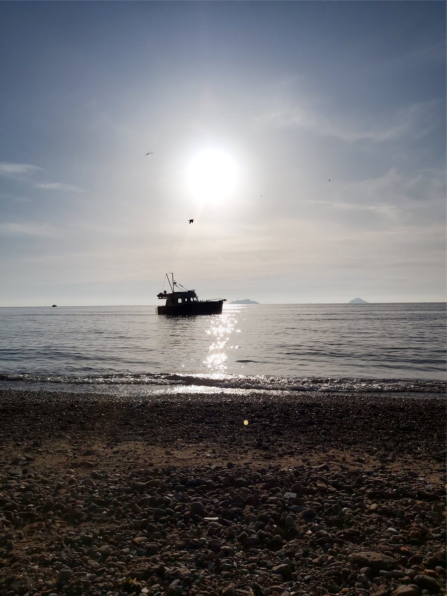 zeynox's tweet photo. Hayatın birkaç saat için koşmadığı bir gün... #BurgazAda #adalar #istanbul #istanbulum #fotoroman #dayinpictures #iseestories https://t.co/HY8WZybYaf
