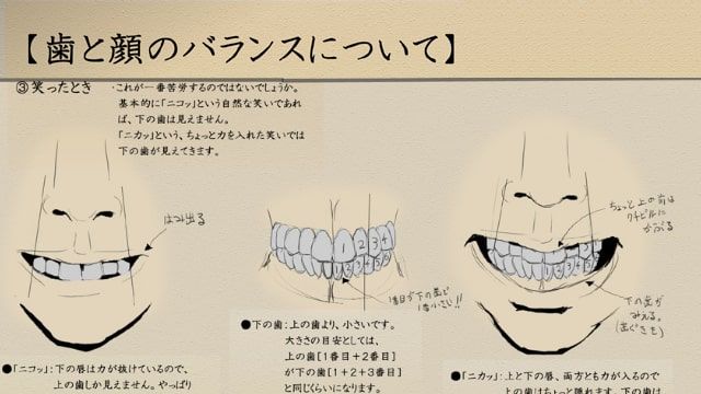 Twitter 上的 お絵かき図鑑 歯の描き方をイラスト解説 リアル寄りのイラストだとさらに難易度が増す 歯の表現 こちらの基準を知っていると 口や歯のバランスの目安になります T Co 17tf6hegi0 Kyan Dogさんに記事掲載許可を頂いております