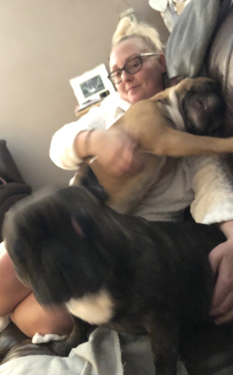 larkandlily's tweet photo. What a welcome home half an hour ago ππ₯°π.
These two crazy gremlins always make me smile.
#larkandlily #crazydoglady #mamamac https://t.co/rS9lCXYS6L