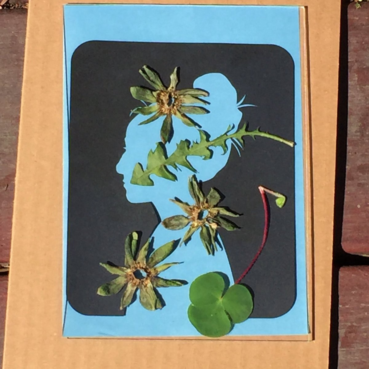 CorinneTakara's tweet photo. cyanotype project for upcoming @Xinampa_Bio wkshp. Students will take profile photos that wiill be laser cut & placed on cyanotype paper along w/ plant crop leaves local to Salinas agriculture. Set out in sun, these will create unique portraits anchored in community & place. https://t.co/Yhr6t3ikCh