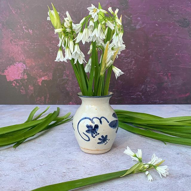 Choclette8's tweet photo. Went foraging for three cornered leeks this morning. Not quite Welsh leeks, but Happy St David’s Day all the same. .
.
.
.
.
.
#threecorneredleek #threecorneredleekflowers #alliumtriquetrum #foraging #wildfood #alliumsofinstagram #instaflowers #foragerso… https://t.co/EOsGW5UkKt https://t.co/r93vaGdIZG