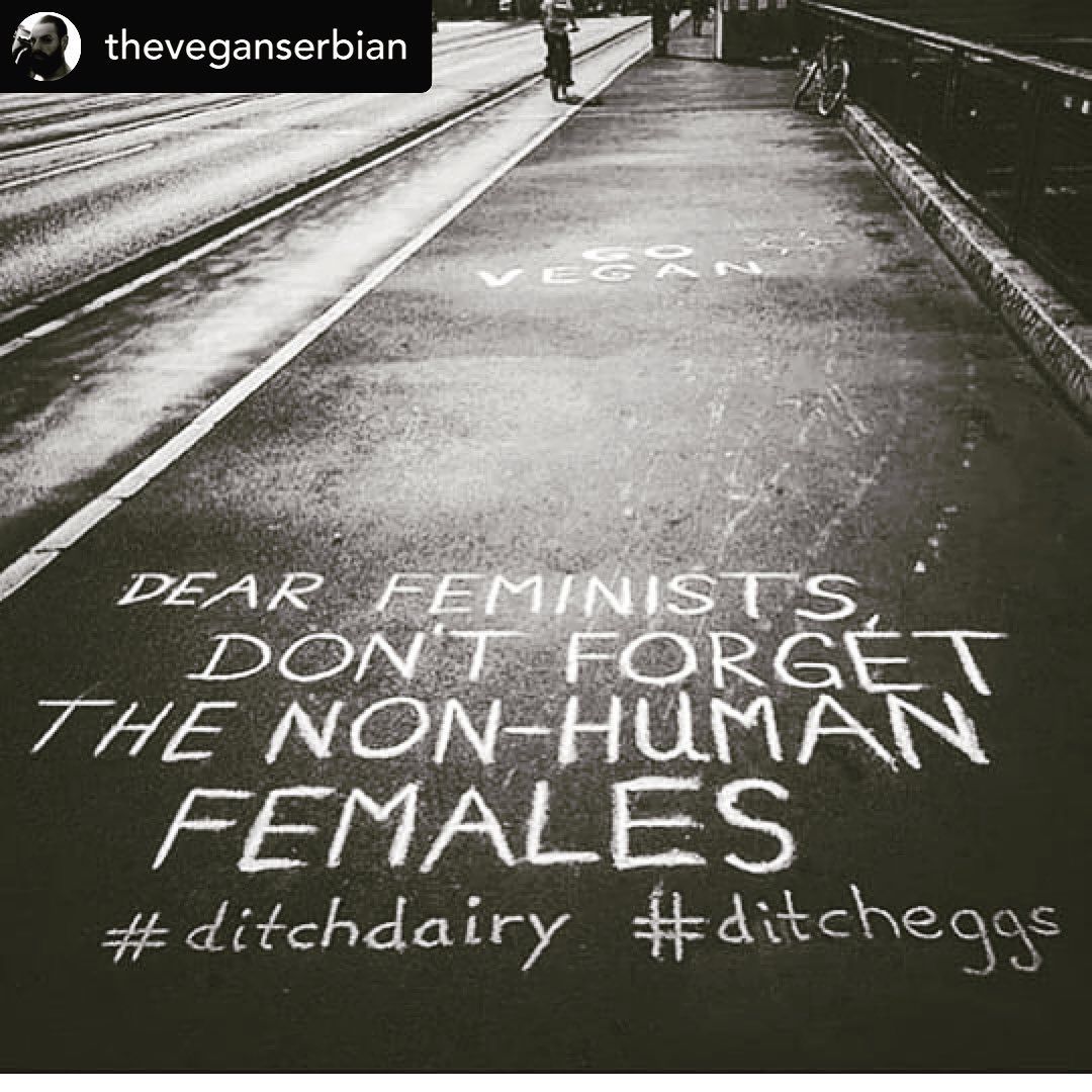 KineticKash's tweet photo. #feminist #Females #WomenRights #Women #GirlPower #DitchDairy #DitchEggs #GoVegan #Vegan #VeganFollow #VeganFollowBack #BeKindToAllKinds #PlantBased #PlantBasedMilk #PlantMilk #LactoseIntolerant  #DairyFree #NotYourMom #NotYourMum #MilkFree #VeganForTheAnimals #AnimalRights https://t.co/7BaJF7buxB