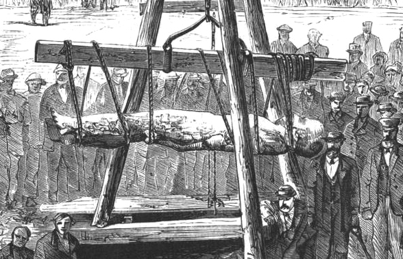 18thCand19thC's tweet photo. Cardiff Giant Hoax of 1869 in Cardiff, New York - The #CardiffGiant, a “petrified man” uncovered in Cardiff, New York, was one of the greatest hoaxes in American history. The giant was found behind ... https://t.co/9lhEWZg9wl #SundayBlogShare #19thcentury https://t.co/AWS4FHu0gP