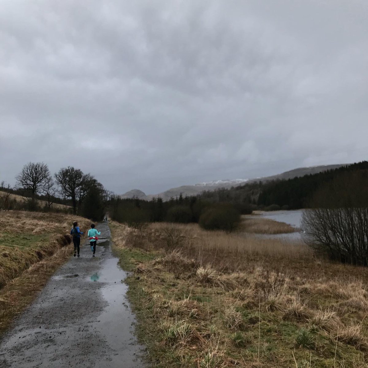 RaynerIzzy's tweet photo. A weekend of running with @haresandhounds -
5km road relays > 13.4km west highland way run 
🏃‍♀️🏃‍♀️🏃‍♀️🏃‍♀️🏃‍♀️🏃‍♀️

#GUTri #Triathlon #UofGSport #GUSA 
#MakeItHappen
#teambiosynergy
#awardwinning #triathlon
#PoweredByProgress #KYMIRAsport #teamKYMIRA https://t.co/SWCAd88A3T