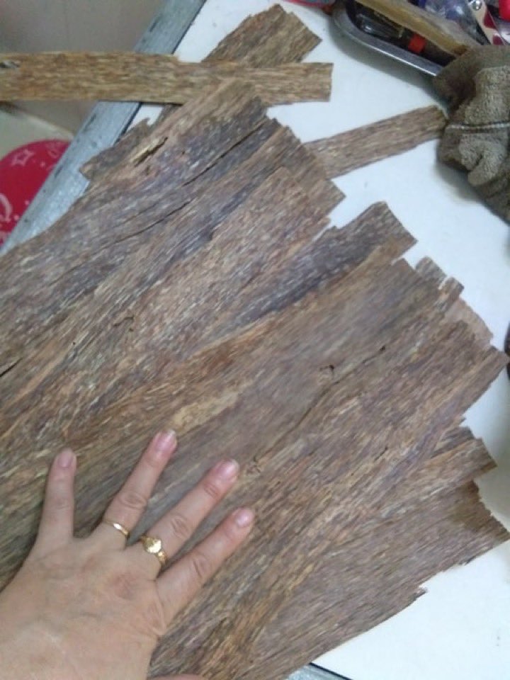 GirlWooden's tweet photo. sweet fragrance
Whasapp:+84933881151 https://t.co/NVHxmof1nn