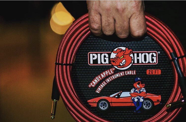 nashville_pussy's tweet photo. Nashville Pussy uses PIG HOG 🐽 Cables - Happy National Pig Day!! @PigHogCables 

#nashvillepussy #lowdowndirtypig #pigglywiggly #oinkoink #blainecartwright #kellihaydenphotography @pighogcables #pighogcables ⚡️🐖 ⚡️ #nationalpigday https://t.co/UWdidTvcMc