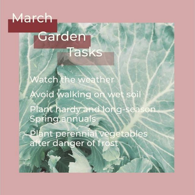 ~March~

Spring is coming!🌿🌦️ .
.
.
.
.

#Spring #marchgardentasks #march #gardentasks #gardentips #springweather #plantyourgarden #backyardgarden #kitchengarden #springgarden #organicgardening #ecologicalgardening #urbanfarming #edibleeden ift.tt/2IlvayF