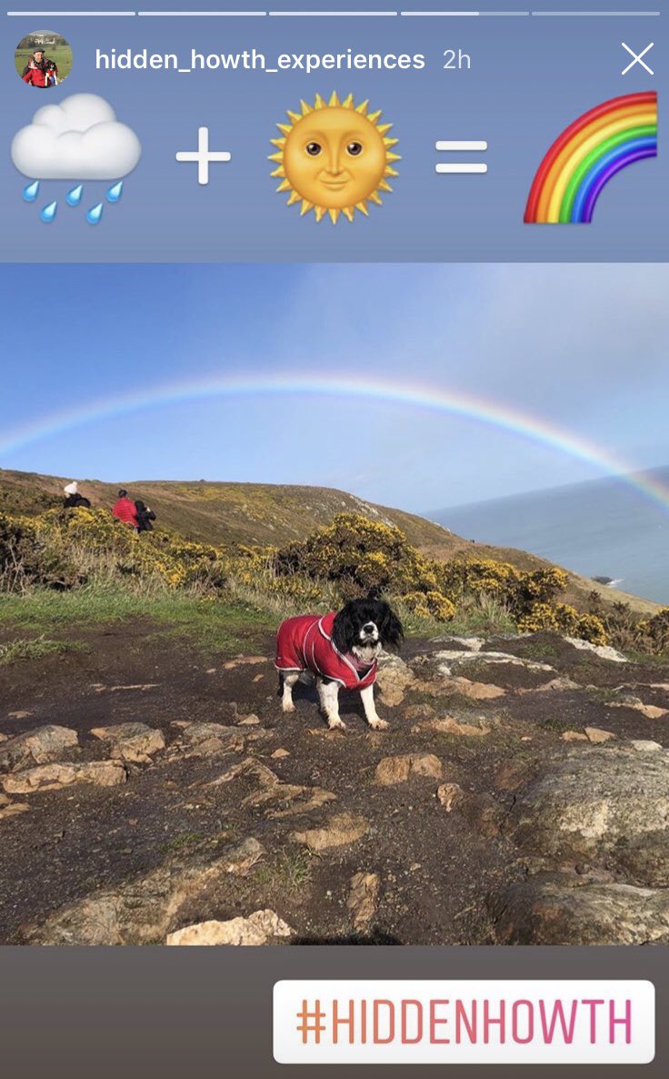 Rainbows n puppies   🌈🐶 Another glorious cliff tour with @Hidden_Howth 🥰😁🌈🐶🌊 #hiddenhowth #howth #tours #cliff #lovindublin @LovinDublin #puppiesofinstagram #puppies #puppylove @howthismagic @VisitDublin