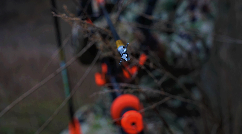 SlickTrickUSA's tweet photo. With three o-ring settings available based on FPS, RaptorTrick is sure to fit the bill for your rig.
๐ธChase Herndon
#slicktrick #slicktrickbroadheads #deadliest #bowhunting #bowhunter #bowandarrow #stdeadliest #hunting #hunt #huntingseason #huntgear #huntingthings #huntingday https://t.co/FEC4YBcDay