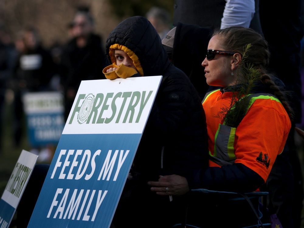 truckloggerBC's tweet photo. “We all need to work together to preserve the working forest land base and address B.C.’s position as the highest-cost forestry jurisdiction." @COFI_INFO's CEO Susan Yurkovich on 2020 budget for struggling forest sector: https://t.co/Eeffw2uZEz via @VancouverSun #BCForestry https://t.co/g1zdr1IOyN