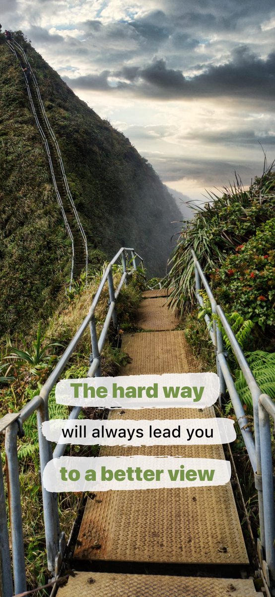 Clara Cohen tweet media