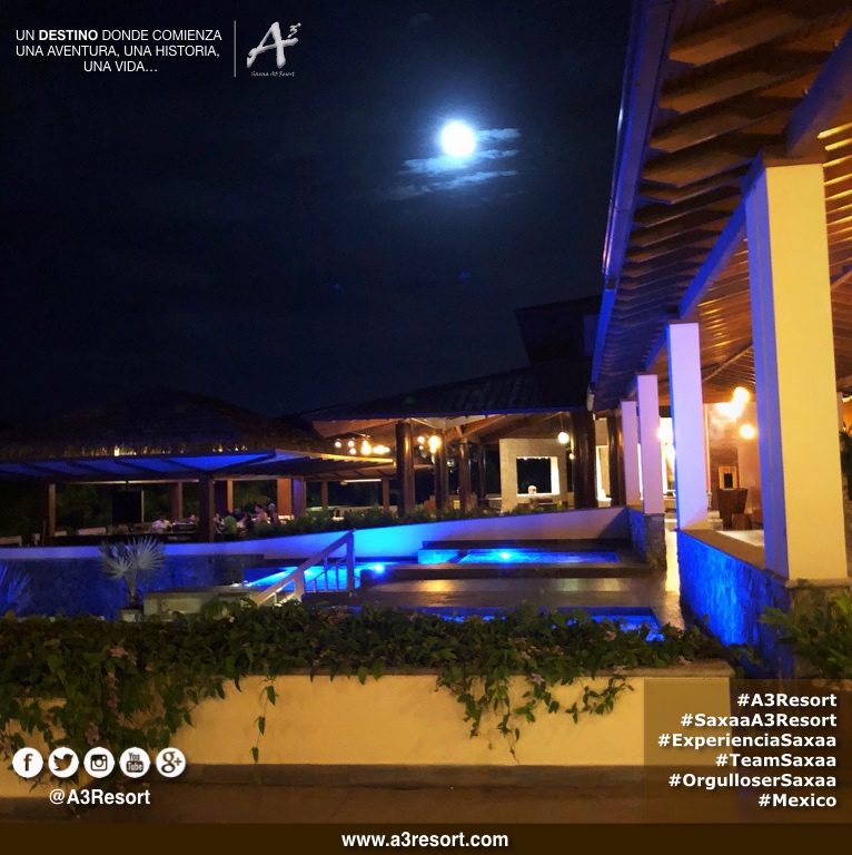 A3Resort's tweet photo. #A3Resort #SaxaaA3Resort ๐ฒ๐ฝ #TeamSaxaa #OrgulloSerSaxaa #GrupoSaxaa #Golfโ #Spa #ExperienciaA3 #A3Moment #SiguemeYTeSigoAlInstante #siguemeytesigo #SiguemeYTeSigoDeVuelta #follobackinstantly #folloback #sigueme #FolloMe #follo4follo #FolloForFolloBack #SiguemeYTeSigoCumplo https://t.co/M54uUIX9L2