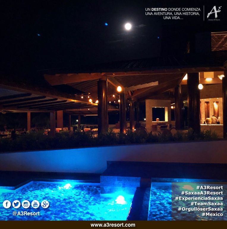 A3Resort's tweet photo. #A3Resort #SaxaaA3Resort ๐ฒ๐ฝ #TeamSaxaa #OrgulloSerSaxaa #GrupoSaxaa #Golfโ #Spa #ExperienciaA3 #A3Moment #SiguemeYTeSigoAlInstante #siguemeytesigo #SiguemeYTeSigoDeVuelta #follobackinstantly #folloback #sigueme #FolloMe #follo4follo #FolloForFolloBack #SiguemeYTeSigoCumplo https://t.co/M54uUIX9L2