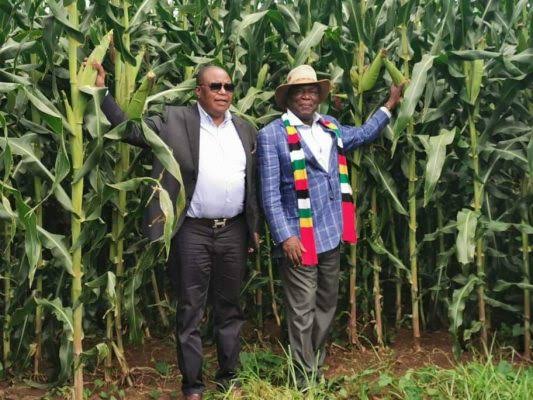 ProfJNMoyo's tweet photo. As the #KwekweAgreement takes root with the focus shifting on the manner &amp; timing of Mnangagwa's exit, his influential clansmen &amp; cartelists now fear that their godfather might not be safe in Zimbabwe &amp; are hard pressed to find a Singapore for him with eyes on Qatar &amp; Abu Dhabi! https://t.co/vtOeAD5avT