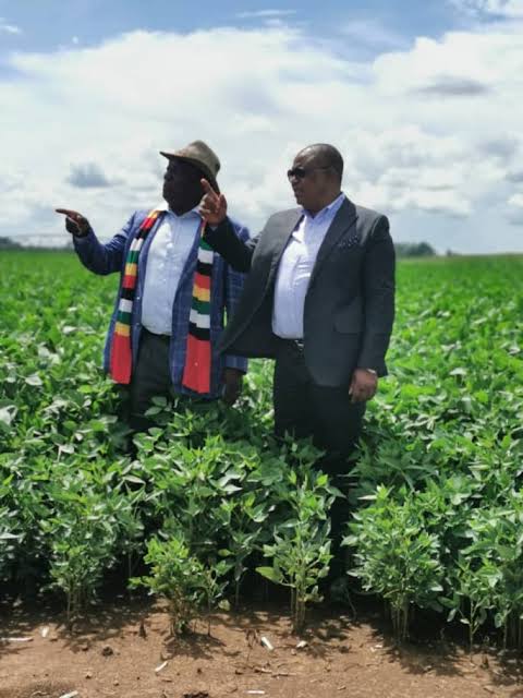 ProfJNMoyo's tweet photo. As the #KwekweAgreement takes root with the focus shifting on the manner &amp; timing of Mnangagwa's exit, his influential clansmen &amp; cartelists now fear that their godfather might not be safe in Zimbabwe &amp; are hard pressed to find a Singapore for him with eyes on Qatar &amp; Abu Dhabi! https://t.co/vtOeAD5avT