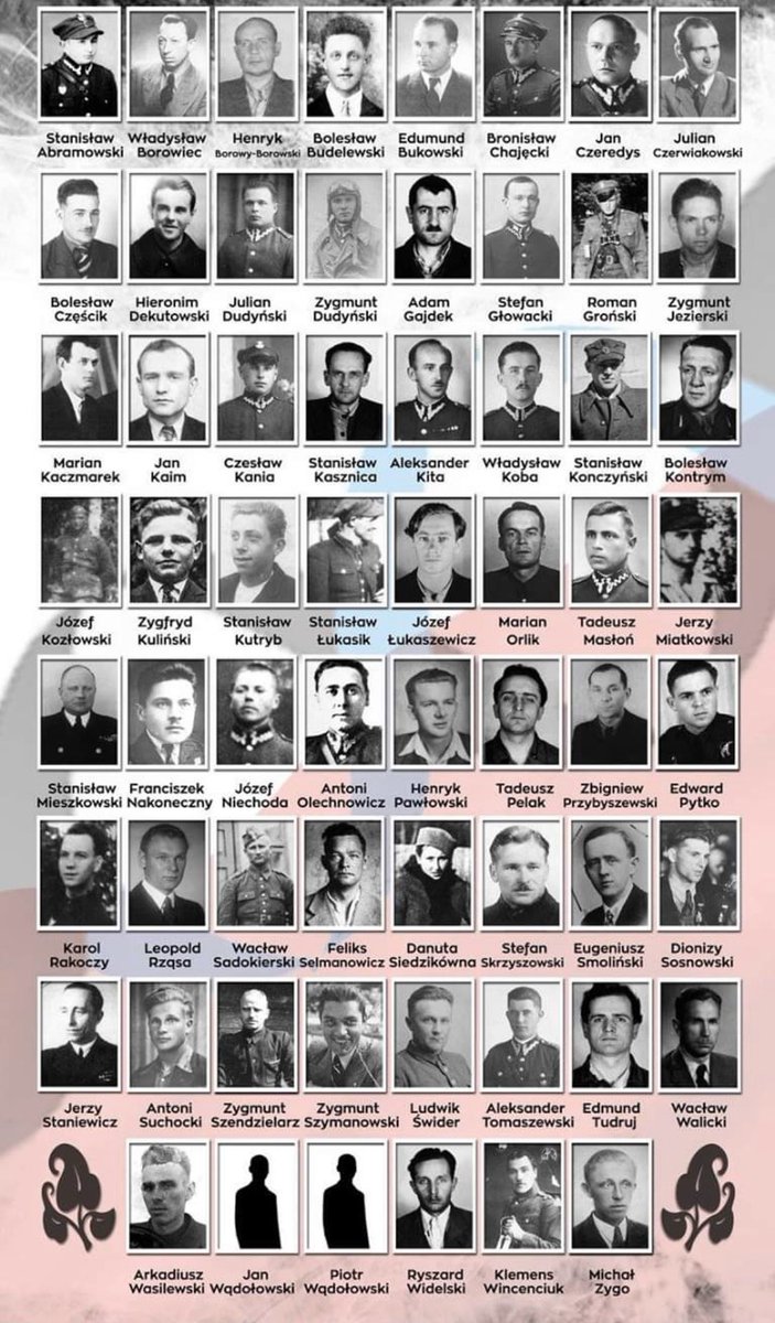 AndyOsa1978's tweet photo. 1 marca Narodowy Dzień Pamięci Żołnierzy Wyklętych. @pbgot Nasz Zespół zidentyfikował niemalże 100 żołnierzy wyklętych. Pierwsze prace przeprowadziliśmy w 2009 roku odnajdując żołnierzy Bojowego Oddziału Armii w Szczecinie. @pumszczecin @ipngovpl @RadioMaryja @radio_szczecin https://t.co/ddW61oXiF6