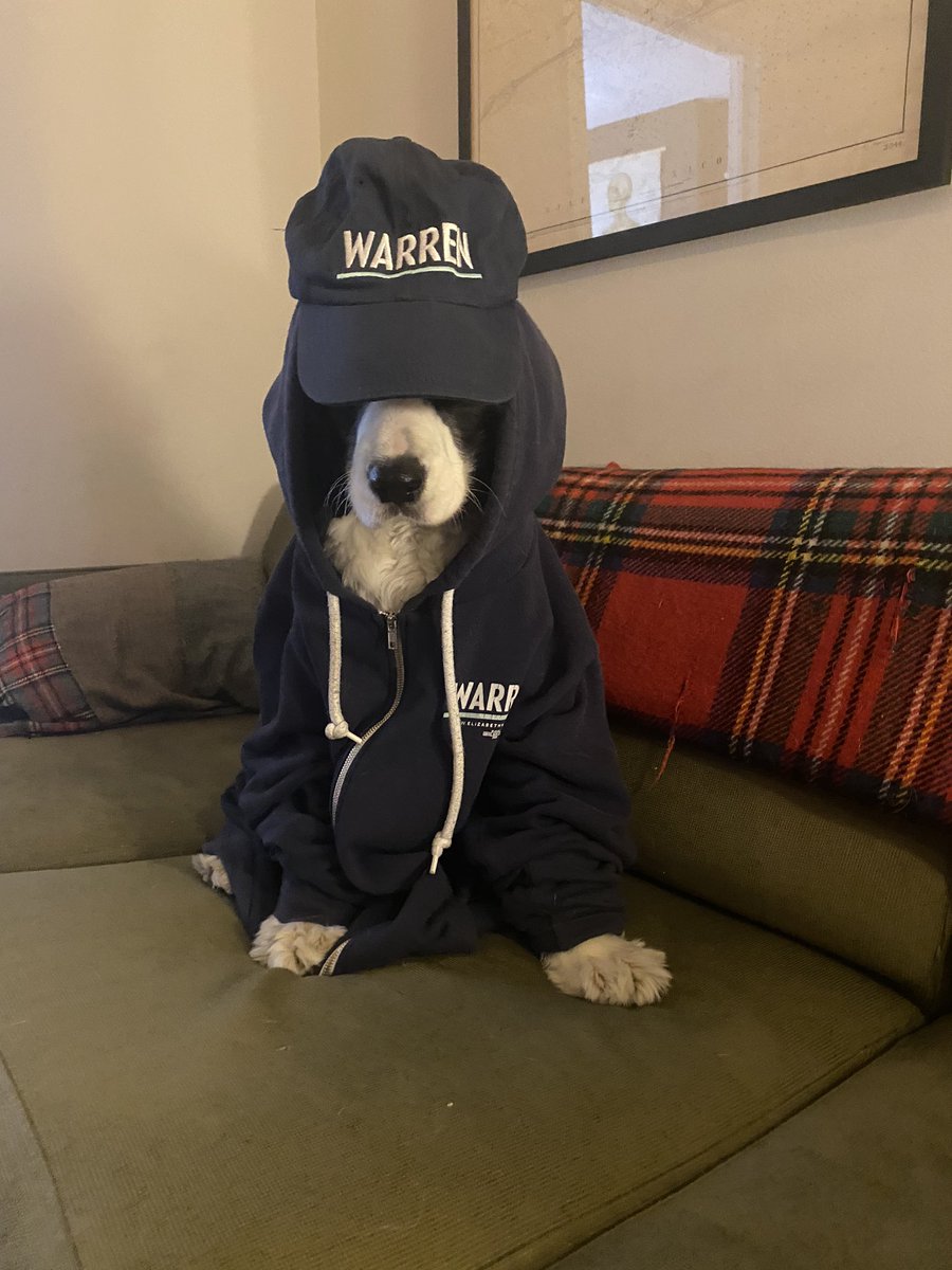 NotGayleKing's tweet photo. #DogsForWarren https://t.co/OqTpTVSfgn