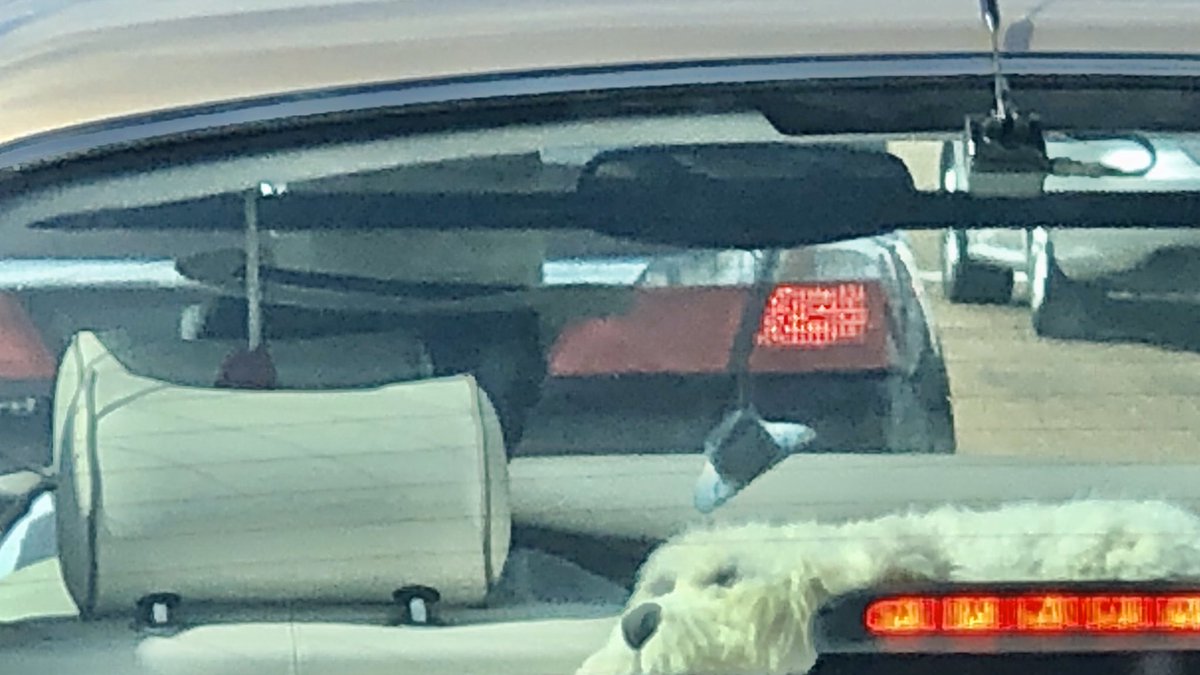 Karen Howell tweet media