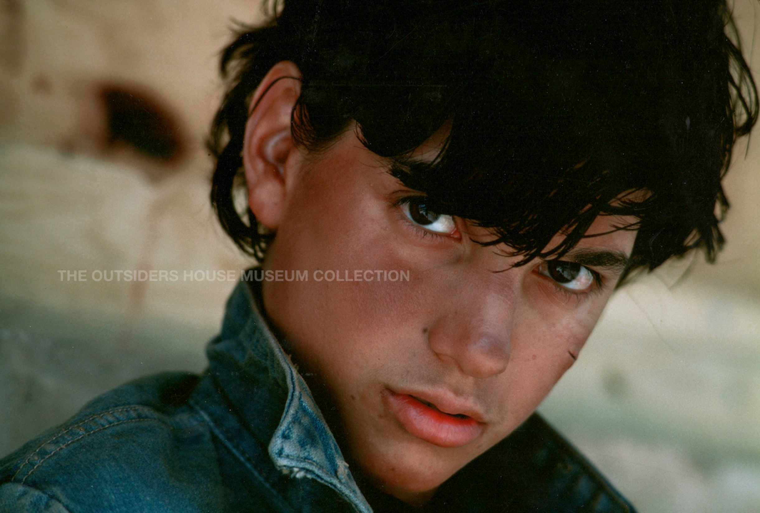 The Outsiders House Museum on Twitter: "Happy Birthday, Johnny Cade. Born  March 1, 1949. Played by Ralph Macchio in Francis Ford Coppola\