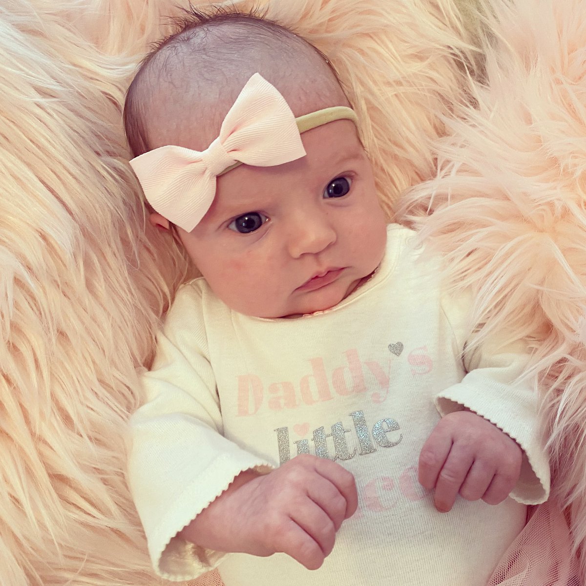 Andrew Gavin tweet media