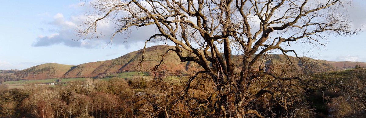 Pano of the beautiful #Shropshire hills today. Click to view. #AstronomicalSpring #landscapephotography #March2020 #Weather #photooftheday #Photography #ChurchStretton