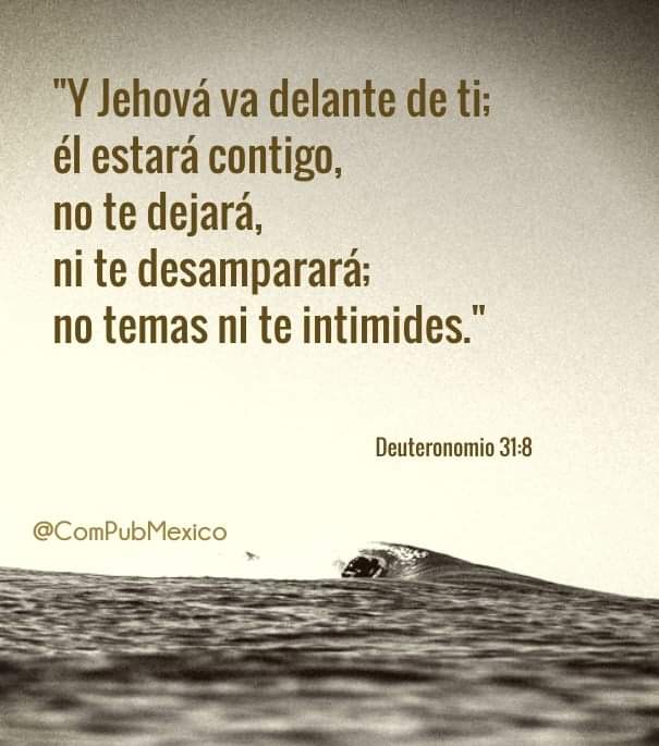 ComPubMexico's tweet photo. "Jehová va delante de ti" Deuteronomio 31:8 🙏😊
#Biblia
#FelizDomingo 
#BienvenidoMarzo https://t.co/gzgV7xllOh