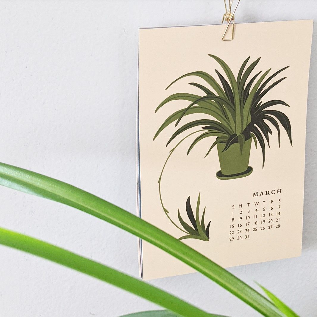 dotenotegift's tweet photo. "March, when the days are getting long, 
let thy growing hours be strong
to set right some wintry wrong." 
- Caroline May
.
#march #growth #houseplants https://t.co/HqclUdGpKr