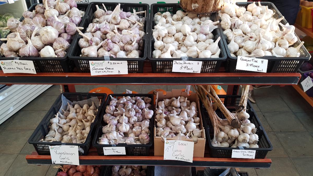 CalgaryLocavore's tweet photo. Local Food Security starts at #FreshAndLocalFarmOutlet 17, 9250 Macleod Trail SE #yyc Local Garlic Bags with 5 cloves $9.99, Local Mini Cucumbers $3.99 #buylocalyyc #farmersmarket #foodsecurity #eatfresh #buylocal #shoplocal https://t.co/URa02GvPdD https://t.co/lJuqoWHfbr