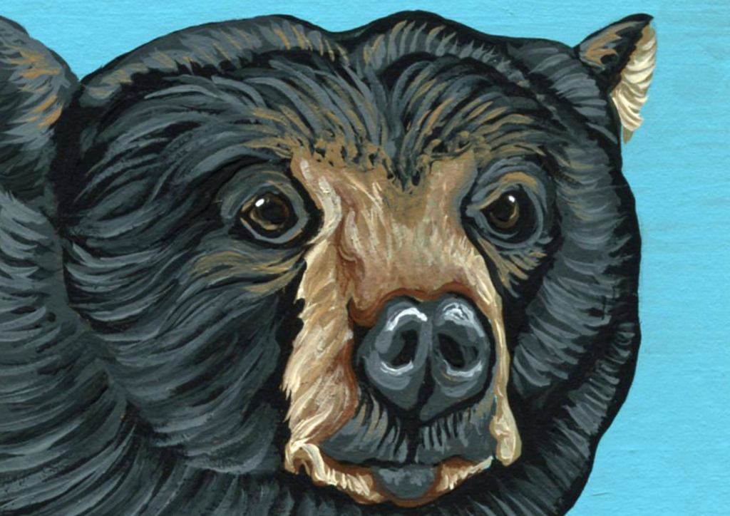 Animal Lit Magazine  tweet media