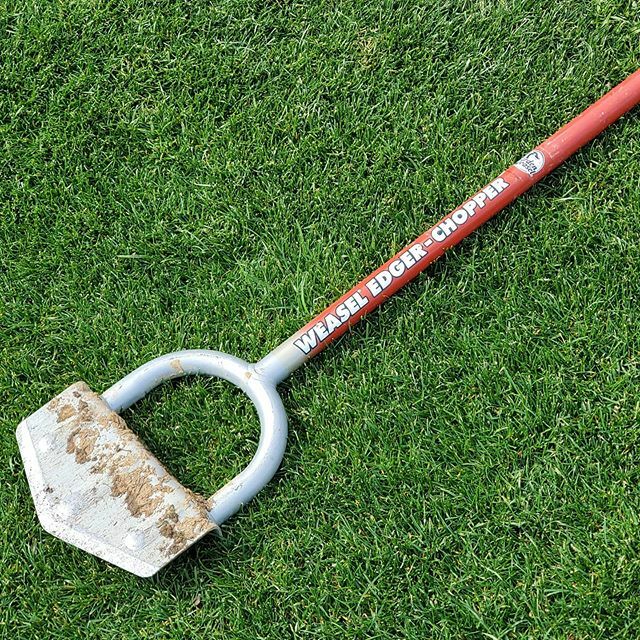 reellowdad's tweet photo. Time to get busy!! #edging #landscaping #lawncare #naturaledging #perfection https://t.co/sv35KxKzNo https://t.co/naQ80yHUXw