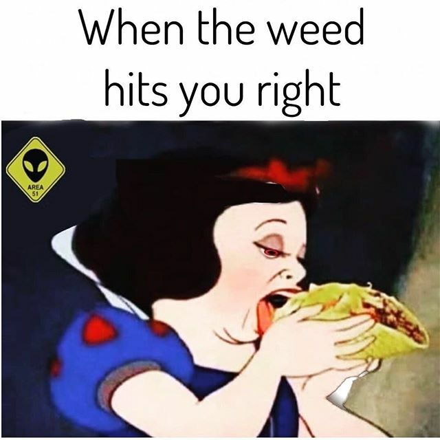 WEED_GIRLS_MOTO's tweet photo. https://t.co/ewzv8KT7Sa https://t.co/VN0m9SptMt