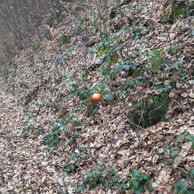 _crazyeddie_'s tweet photo. #frueherwarmehrlametta #mtbsaar #mtb #mtbsaarland  #schwarzenberg https://t.co/jExWa89OZV https://t.co/XgEUn2UWdo