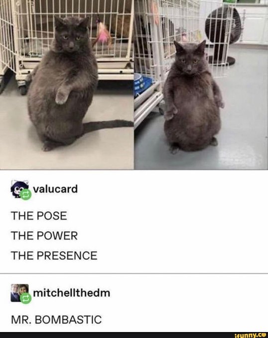 When youve been eating like crap and catch yourself in mirror... https://t.co/JY4dHUyKmZ