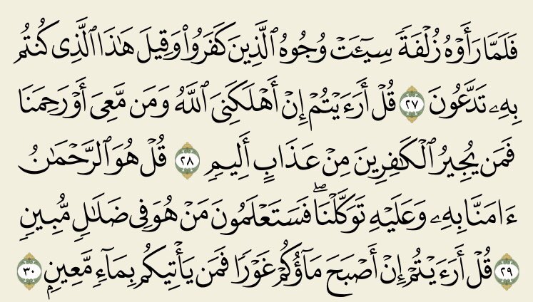 thkrr33's tweet photo. #ريم_السعد_في_ذمه_الله

من فضائل قراءة سورة الملك .. 🌾

• مانعة لعذاب القبر لمن 
يداوم على قرائتها 
• مسببة للحسنات والثواب
• تأتي تجادل عن صاحبها من العذاب وشافعة له حتّى يُغفر له يوم القيامة

سورة منجية وشافعة ، اقرأوها ..✨🌹 https://t.co/GEMc8eGktO