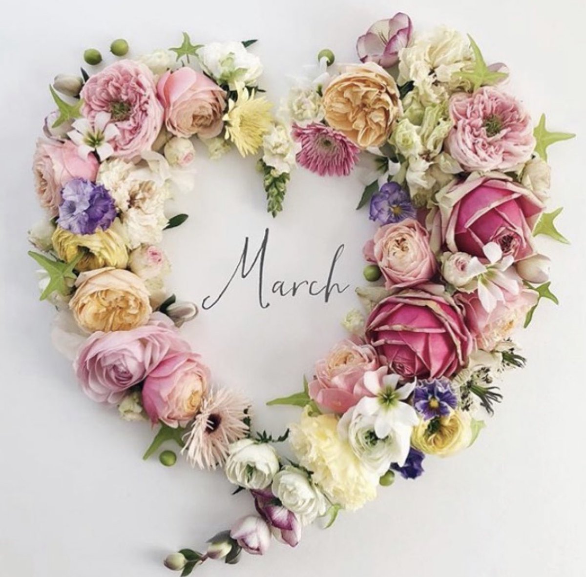 ❤️March!!