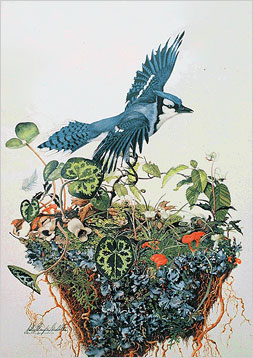 Afternoon Art Club this Tuesday, March 3rd 3:30-4:30 Sallie Middleton - mailchi.mp/blowingrockmus…