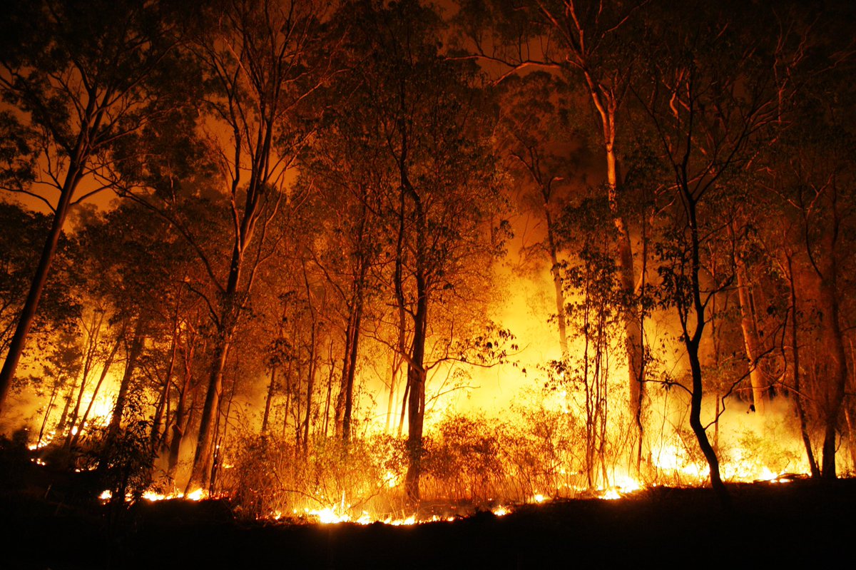 We will burn Vermont to the ground.