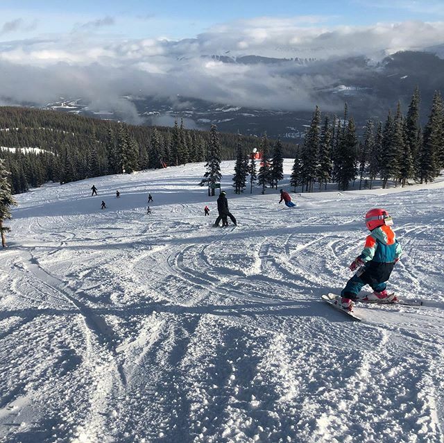 Dream Team rippin’ it up Marmot for Jasper Junior Olympics 2020 #jasperjuniorolympics #miniskiracers ift.tt/2TvHTUf