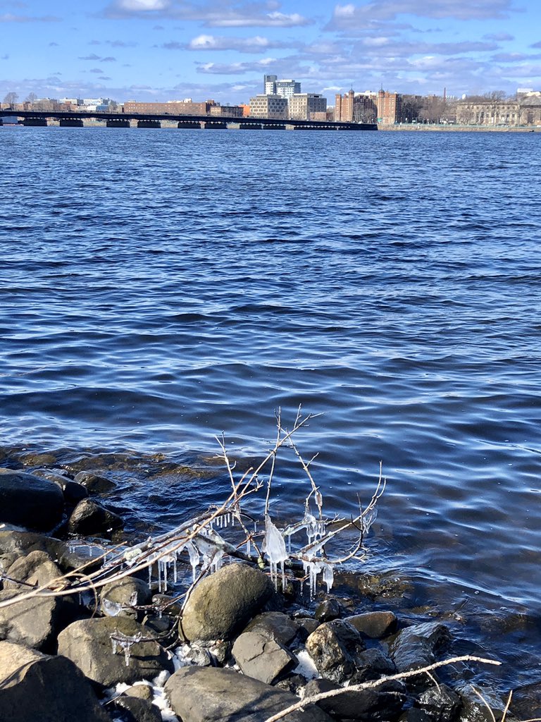 Emjay1028's tweet photo. Despite the frigid temps and ice along the #CharlesRiver, I can see you, #spring! 😍 #ViewFromMorningRun #Boston #MJRunsOnSunshine #AndDunks #LousySmarchWeather #ICantFeelMyFace #Esplanade https://t.co/ZtSYGxVRPT