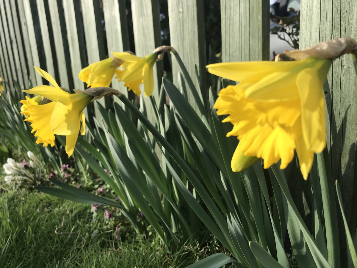 As today is 1st March - Happy St David’s Day - it’s also the first day of meteorological Spring. This colourful season is a great time to market your property - watch out for our blog later this week! #michaelanthony #property #aylesbury